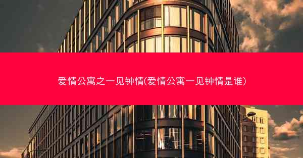 爱情公寓之一见钟情(爱情公寓一见钟情是谁)