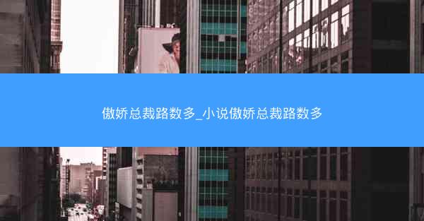 傲娇总裁路数多_小说傲娇总裁路数多