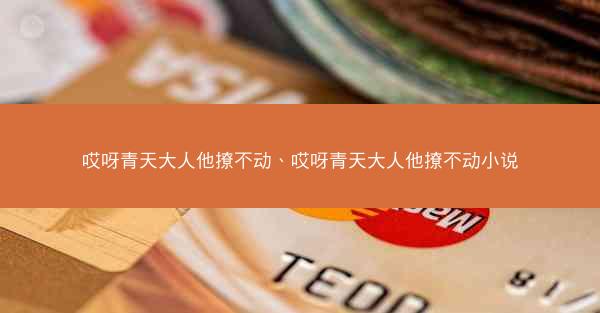 哎呀青天大人他撩不动、哎呀青天大人他撩不动小说