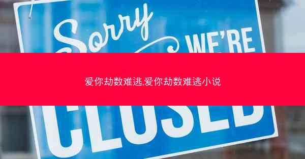 爱你劫数难逃,爱你劫数难逃小说