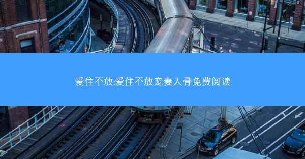 爱住不放;爱住不放宠妻入骨免费阅读