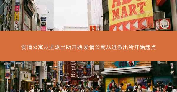 爱情公寓从进派出所开始;爱情公寓从进派出所开始起点
