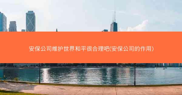安保公司维护世界和平很合理吧(安保公司的作用)