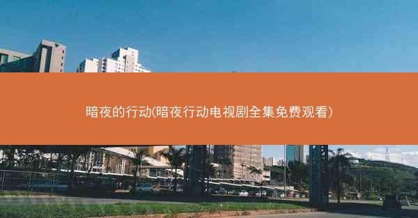 暗夜的行动(暗夜行动电视剧全集免费观看)