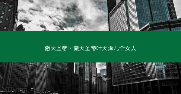 傲天圣帝、傲天圣帝叶天泽几个女人