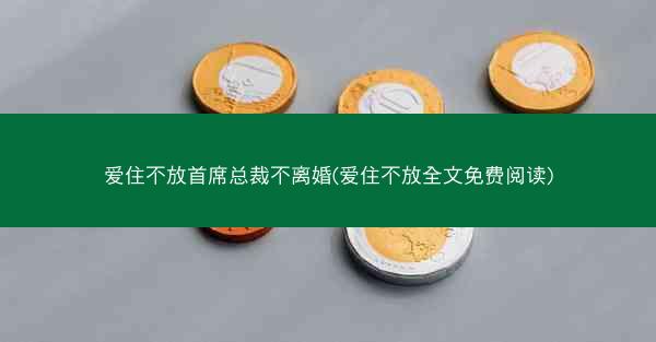 爱住不放首席总裁不离婚(爱住不放全文免费阅读)