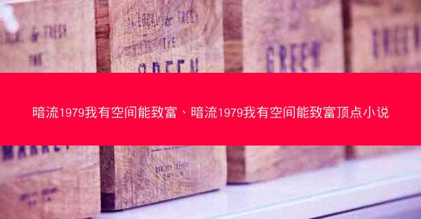 暗流1979我有空间能致富、暗流1979我有空间能致富顶点小说