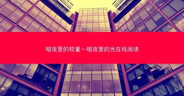 暗夜里的较量—暗夜里的光在线阅读