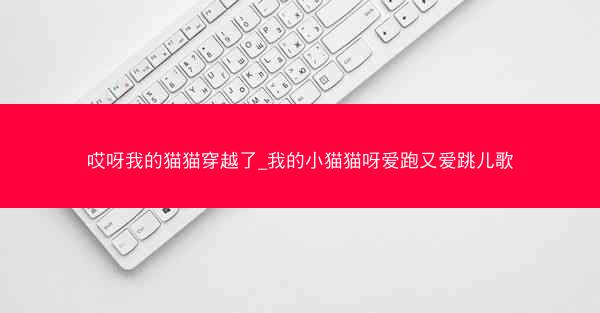 哎呀我的猫猫穿越了_我的小猫猫呀爱跑又爱跳儿歌