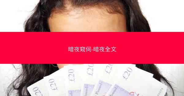 暗夜窥伺-暗夜全文