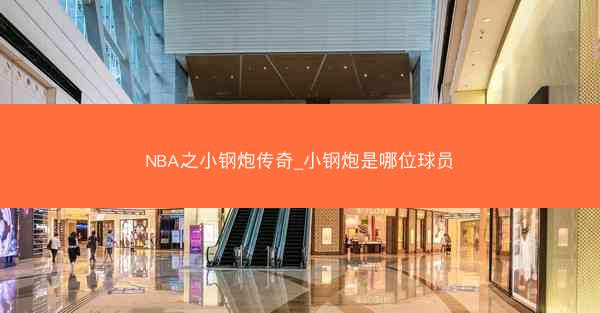 NBA之小钢炮传奇_小钢炮是哪位球员