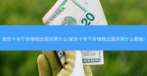 爱你十年不珍惜我出国你哭什么(爱你十年不珍惜我出国你哭什么歌曲)