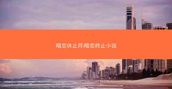 暗恋休止符;暗恋终止小说