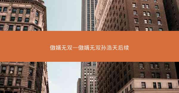 傲婿无双—傲婿无双孙浩天后续