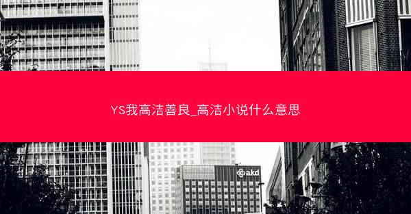 YS我高洁善良_高洁小说什么意思