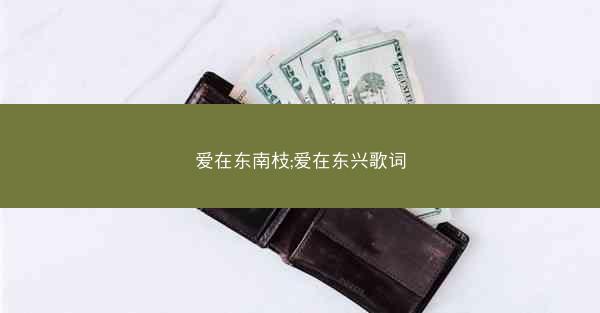 爱在东南枝;爱在东兴歌词