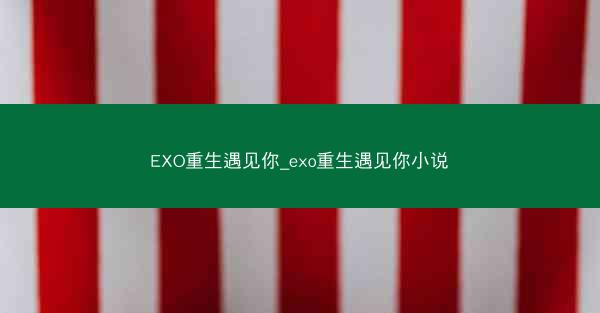 EXO重生遇见你_exo重生遇见你小说