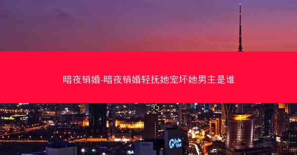 暗夜销婚-暗夜销婚轻抚她宠坏她男主是谁
