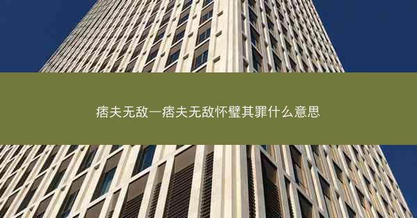 痞夫无敌—痞夫无敌怀璧其罪什么意思