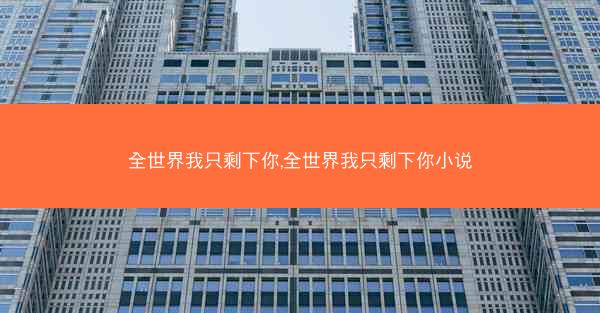 全世界我只剩下你,全世界我只剩下你小说