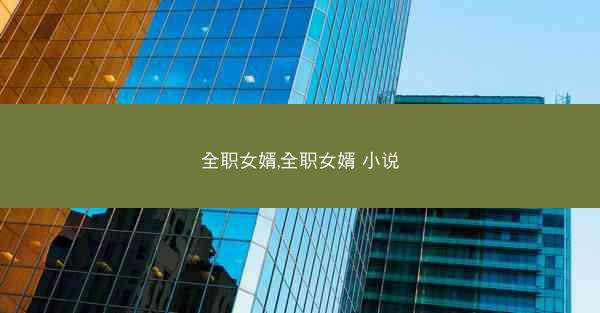 全职女婿,全职女婿 小说