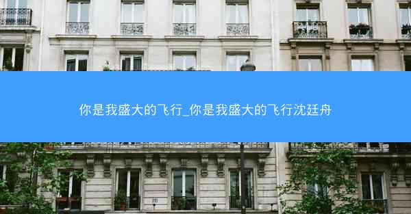 你是我盛大的飞行_你是我盛大的飞行沈廷舟