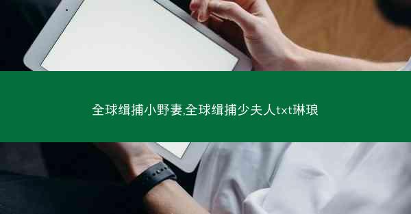全球缉捕小野妻,全球缉捕少夫人txt琳琅