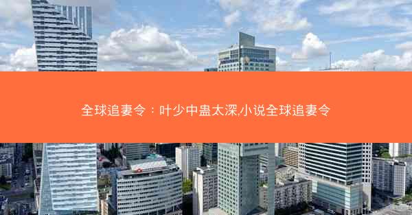 全球追妻令：叶少中蛊太深,小说全球追妻令