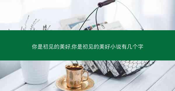 你是初见的美好,你是初见的美好小说有几个字