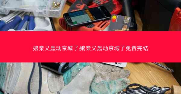娘亲又轰动京城了;娘亲又轰动京城了免费完结