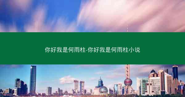 你好我是何雨柱-你好我是何雨柱小说