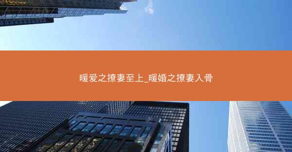 暖爱之撩妻至上_暖婚之撩妻入骨