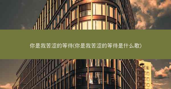 你是我苦涩的等待(你是我苦涩的等待是什么歌)