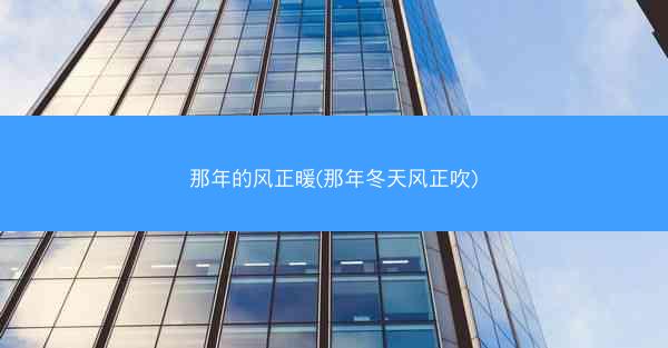 那年的风正暖(那年冬天风正吹)