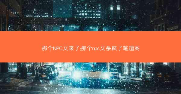 那个NPC又来了;那个npc又杀疯了笔趣阁