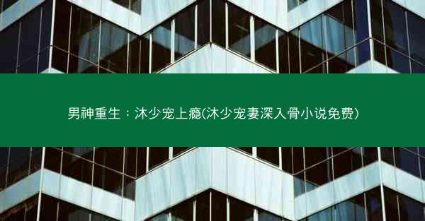 男神重生：沐少宠上瘾(沐少宠妻深入骨小说免费)