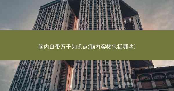 脑内自带万千知识点(脑内容物包括哪些)