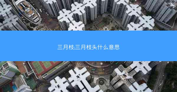 三月枝;三月枝头什么意思