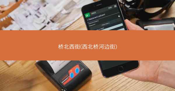 桥北西街(西北桥河边街)
