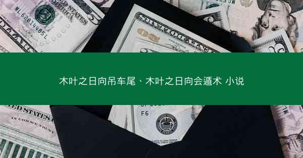 木叶之日向吊车尾、木叶之日向会遁术 小说