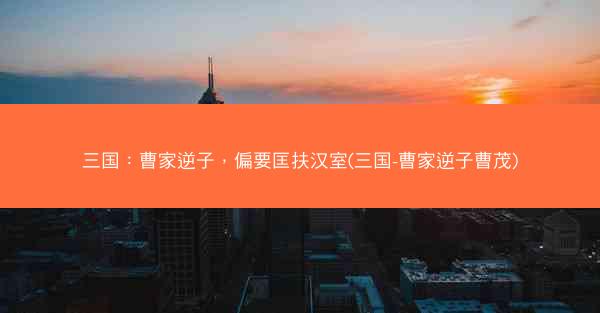 三国：曹家逆子，偏要匡扶汉室(三国-曹家逆子曹茂)