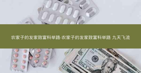 农家子的发家致富科举路-农家子的发家致富科举路 九天飞流
