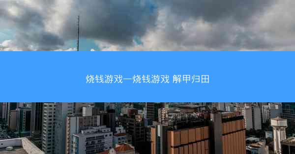 烧钱游戏—烧钱游戏 解甲归田