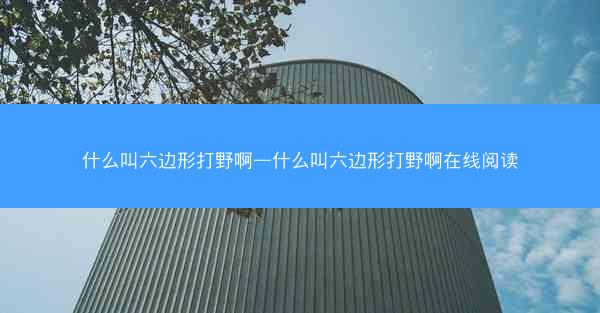 什么叫六边形打野啊—什么叫六边形打野啊在线阅读