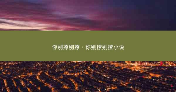 你别撩别撩、你别撩别撩小说