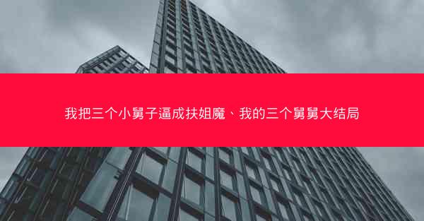 我把三个小舅子逼成扶姐魔、我的三个舅舅大结局