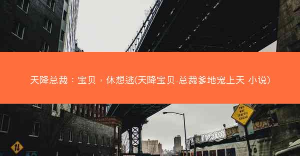 天降总裁：宝贝，休想逃(天降宝贝-总裁爹地宠上天 小说)