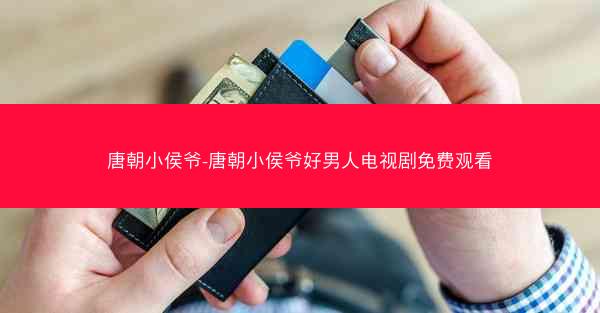 唐朝小侯爷-唐朝小侯爷好男人电视剧免费观看