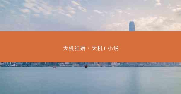 天机狂婿、天机1 小说
