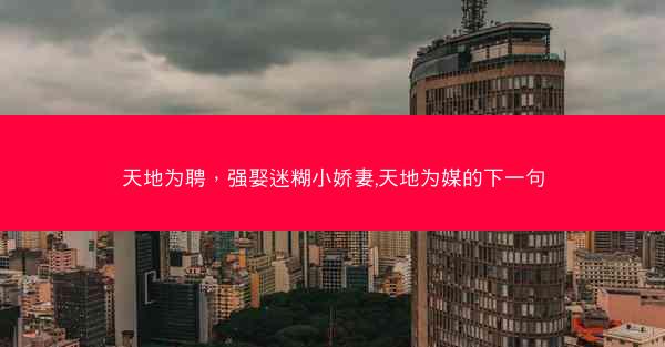 天地为聘，强娶迷糊小娇妻,天地为媒的下一句